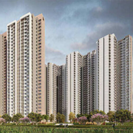 Profile picture of Provident Ecopolitan