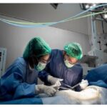 Profile picture of Gynecology and obstetrics