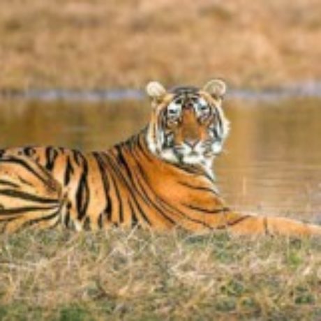Profile picture of corbetttravels