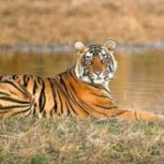 Profile picture of corbetttravels