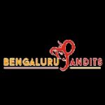 Profile picture of Bengaluru Pandits