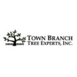 Profile picture of Town Branch Tree Experts