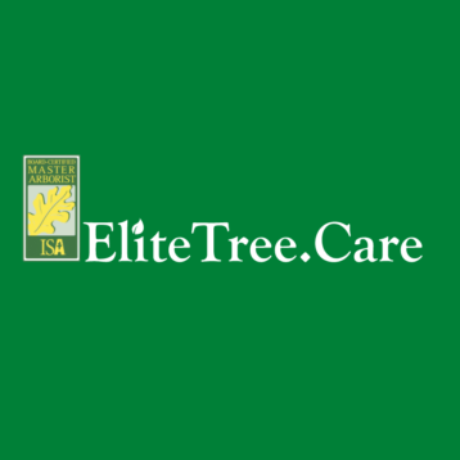 Profile picture of Elite Tree Care INC