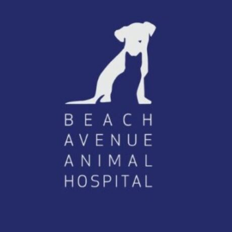 Profile picture of Beach Avenue Animal Hospital