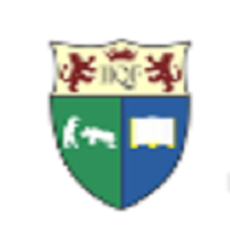 Profile picture of IIQF Reviews