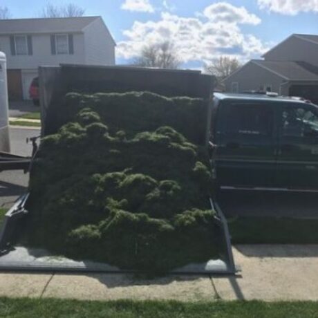 Profile picture of Pickup Landscape Bed