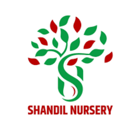 Profile picture of Shandil Nursery