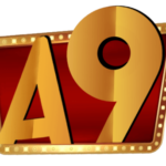 Profile picture of A9play