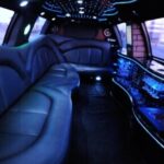 Profile picture of A Universal Limousine