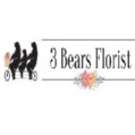 Profile picture of 3 Bears Florist
