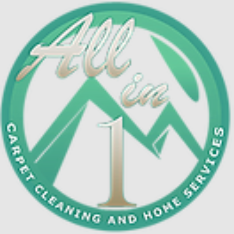 Profile picture of All In One Carpet Cleaning