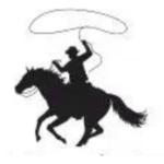 Profile picture of Patriot Express Insulation
