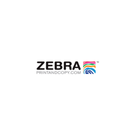 Profile picture of Zebra Print And Copy