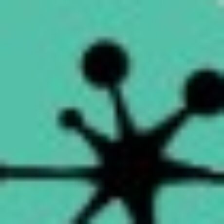 Profile picture of Lusio Rehab