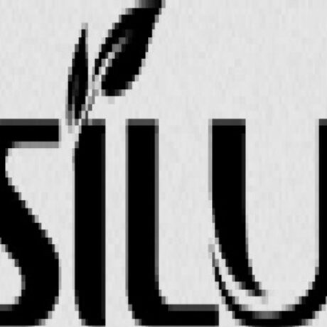 Profile picture of silujie