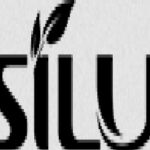 Profile picture of silujie