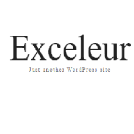 Profile picture of exceleur net